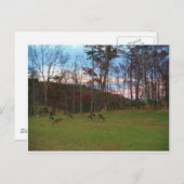 Gebied van Verre & een Roze SunSet Briefkaart (Voorkant / Achterkant)