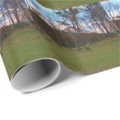 Gebied van Verre & een Roze SunSet Cadeaupapier (Rol Hoek)