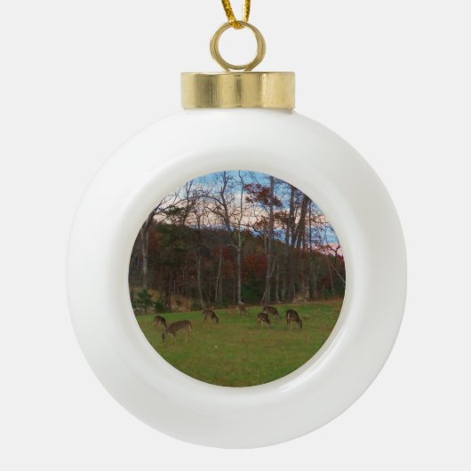 Gebied van Verre & een Roze SunSet Keramische Bal Ornament (Voorkant)