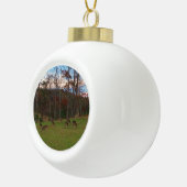 Gebied van Verre & een Roze SunSet Keramische Bal Ornament (Rechts)