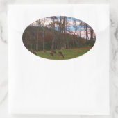 Gebied van Verre & een Roze SunSet Ovale Sticker (Tas)