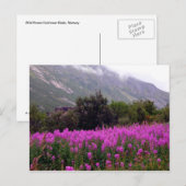 Gebied van wilde bloemen dichtbij Bodo, Noorwegen Briefkaart (Voorkant / Achterkant)