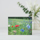 gebied van wildflowers briefkaart (Staand voorkant)