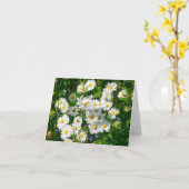 Gebied van Witte Daisies Blank Wenskaart Kaart (Gele Bloem)