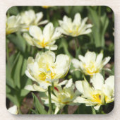 Gebied van witte tulpen Foto Bier Onderzetter (Voorkant)