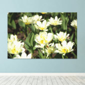 Gebied van witte tulpen Foto Canvas Afdruk (Insitu (Houten vloer))