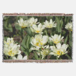 Gebied van witte tulpen Foto Deken