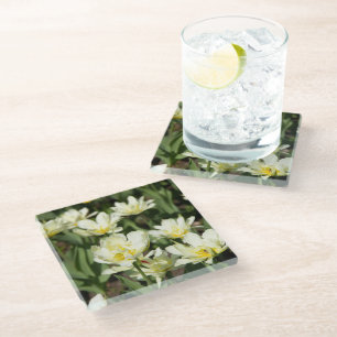 Gebied van witte tulpen Foto Glazen Onderzetter