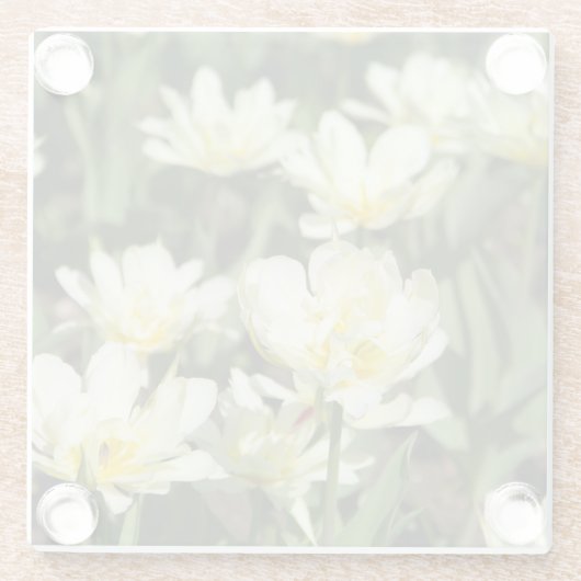 Gebied van witte tulpen Foto Glazen Onderzetter (Achterkant)