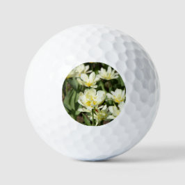 Gebied van witte tulpen Foto Golfballen