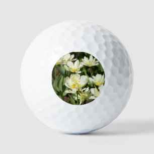 Gebied van witte tulpen Foto Golfballen