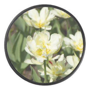 Gebied van witte tulpen Foto Hockey Puck