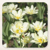 Gebied van witte tulpen Foto Kartonnen Onderzetters (Voorkant)