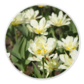 Gebied van witte tulpen Foto Keramische Knop (Voorkant)