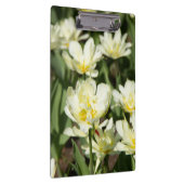 Gebied van witte tulpen Foto Klembord (Rechts)