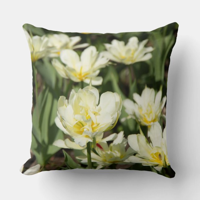 Gebied van witte tulpen Foto Kussen (Voorkant)