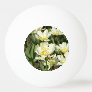 Gebied van witte tulpen Foto Pingpongbal
