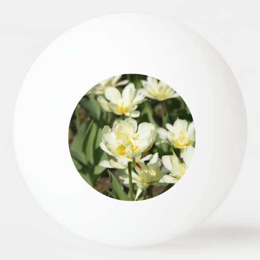 Gebied van witte tulpen Foto Pingpongbal (Voorkant)