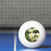 Gebied van witte tulpen Foto Pingpongbal (Net)