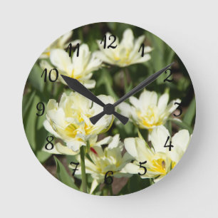 Gebied van witte tulpen Foto Ronde Klok