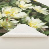 Gebied van witte tulpen Foto Sherpa Deken (3/4)