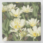 Gebied van witte tulpen Foto Stenen Onderzetter (Voorkant)