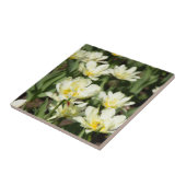 Gebied van witte tulpen Foto Tegeltje (Zijkant)