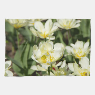 Gebied van witte tulpen Foto Theedoek