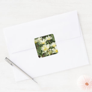 Gebied van witte tulpen Foto Vierkante Sticker