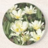 Gebied van witte tulpen Foto Zandsteen Onderzetter (Voorkant)