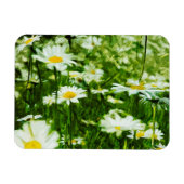 Gebied van witte wilde dagen Abstract Magneet (Horizontaal)