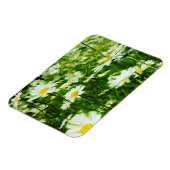 Gebied van witte wilde dagen Abstract Magneet (Linkerzijde)