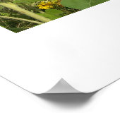 "GEBIED VAN ZONNEN" POSTER (Hoek)