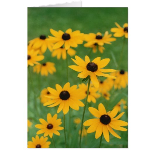 Gebied van zwarte oeoezie (Voorkant)