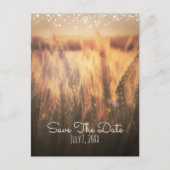 Gebied Wheat Rustic country Wedding Save Date Aankondigingskaart (Voorkant)