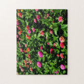 Gebied Zinnia Flowers Orton Effect Legpuzzel (Verticaal)