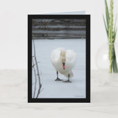 Gebied Zwan Kaart (Voorkant)