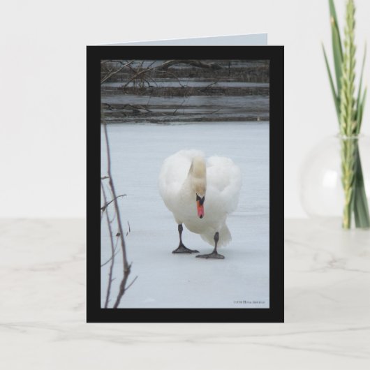 Gebied Zwan Kaart (Voorkant)