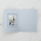 Gebied Zwan Kaart (Binnen)