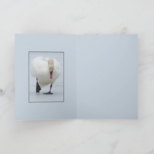 Gebied Zwan Kaart (Binnen)