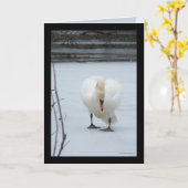 Gebied Zwan Kaart (Gele Bloem)