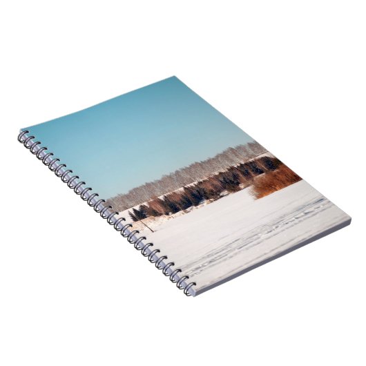 Gebieden en bossen van Centraal-Rusland. Architect Notitieboek (Rechterzijde)