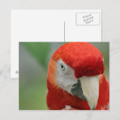 Gebieden in de Caraïben Briefkaart (Voorkant / Achterkant)