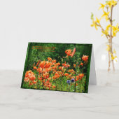 Gebieden van Lelies Kaart (Gele Bloem)