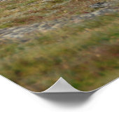 Geboden in Majesteit Poster (Hoek)