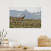 Geboden in Majesteit Poster (Keuken)