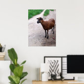 Geboden op pad Poster (Thuiskantoor)