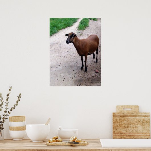 Geboden op pad Poster (Keuken)