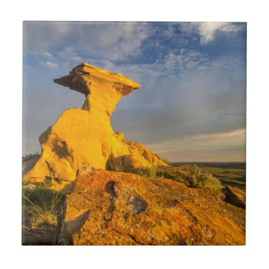 Geboetseerde Badlands-formatie in kort gras Tegeltje (Voorkant)