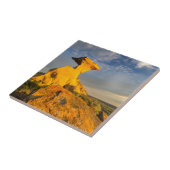 Geboetseerde Badlands-formatie in kort gras Tegeltje (Zijkant)